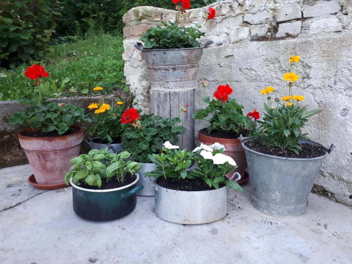 Il Noccioletto Bed & Breakfast Mombaruzzo Exterior photo